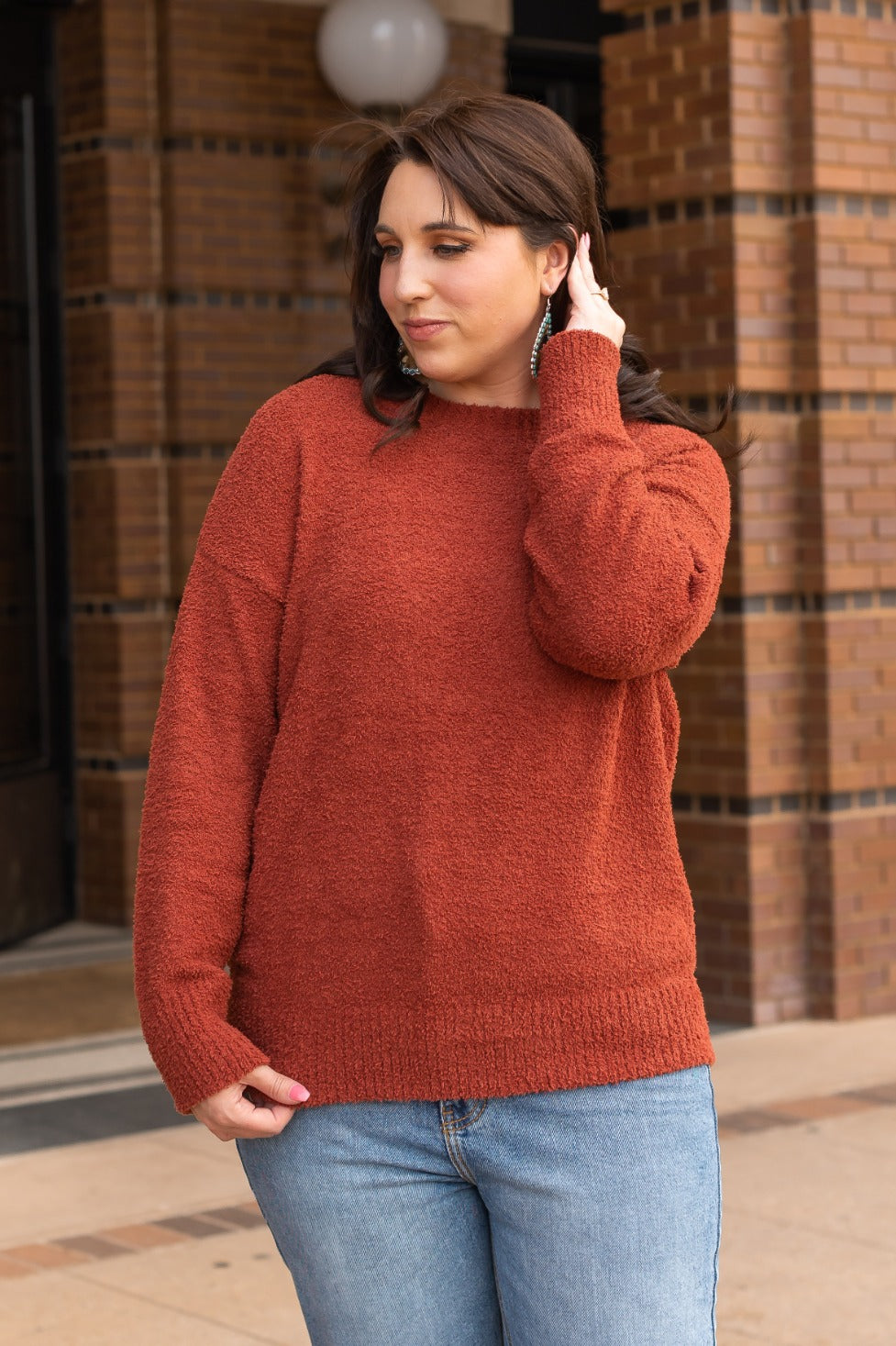 In With The New Rust Faux Mohair Sweater
