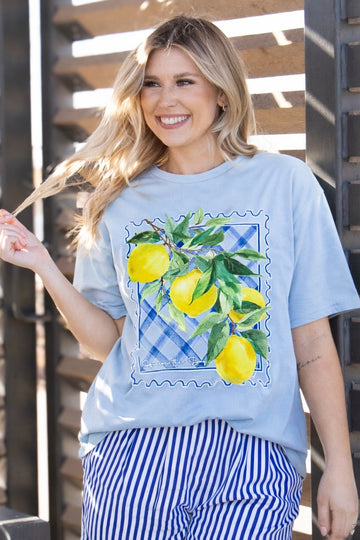 Squeeze the Day on Blue Tee Shirt Blank