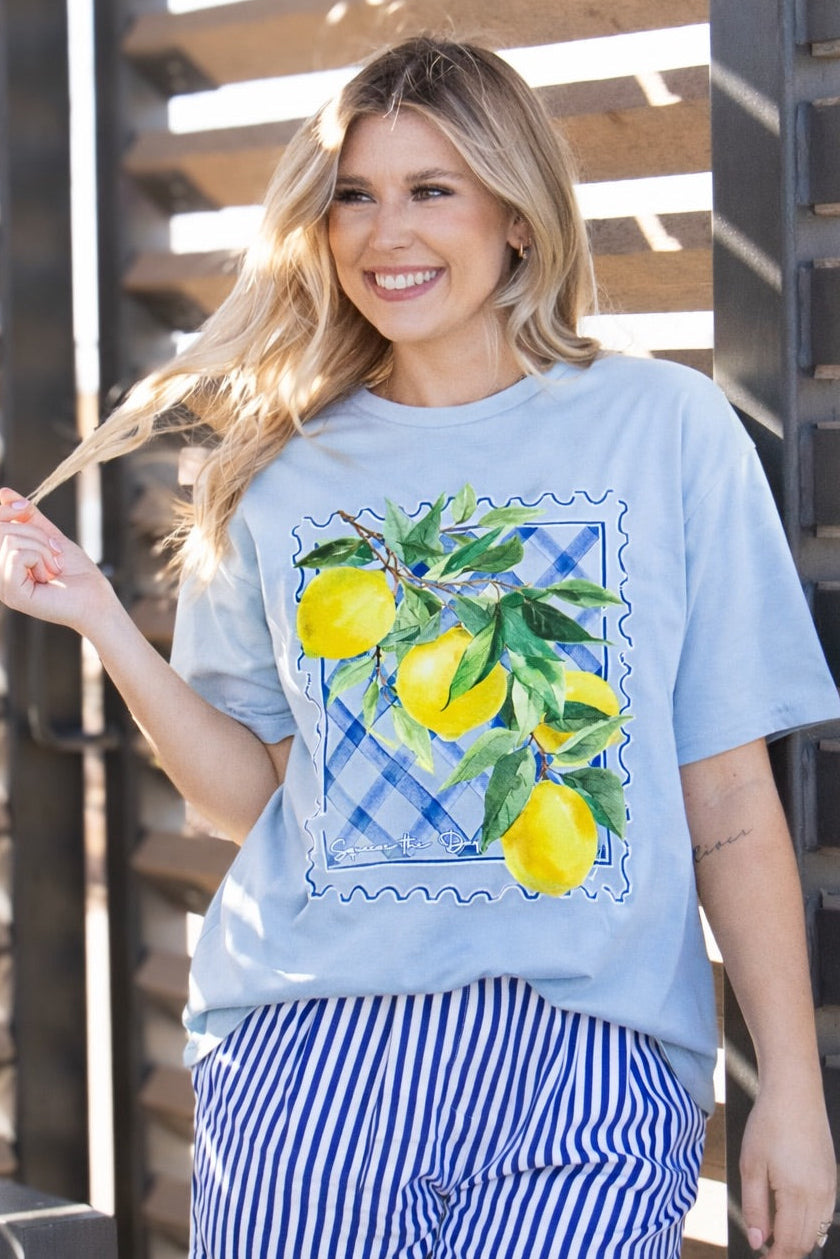 Squeeze the Day on Blue Tee Shirt Blank