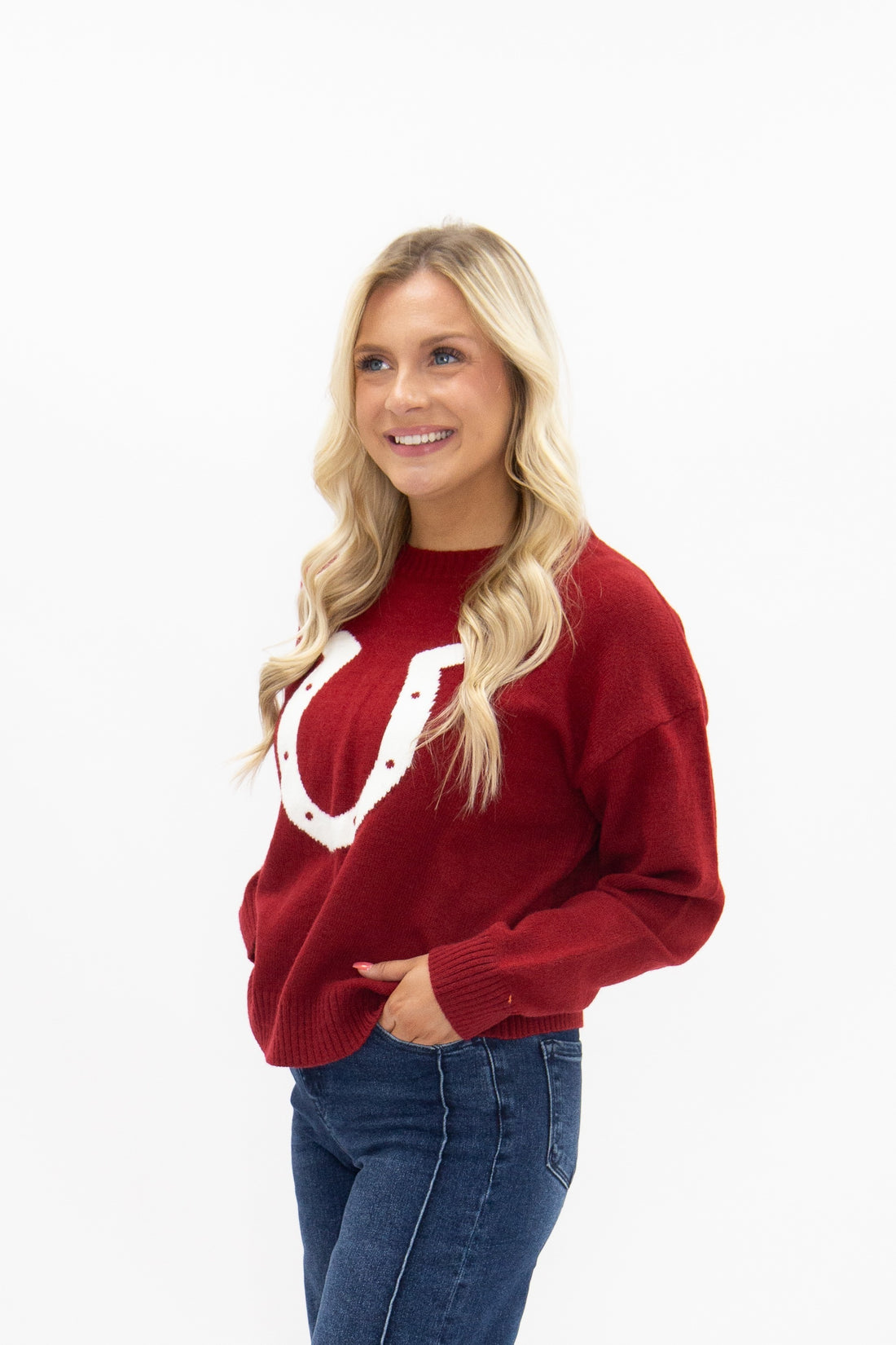 Horse Shoe on a Red Sweater
